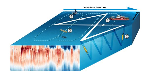 Underwater_cutthrough_modified3